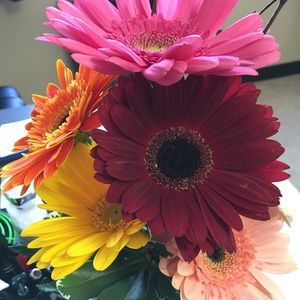 Meet your Posher, Jane